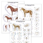 https://www.medplus24.de/bilder/kategorien/Veterinaerbedarf-Tiermodelle-Tierlehrtafeln.jpg