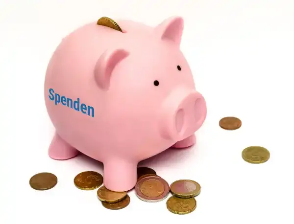 Spenden Sparschwein mit Geld