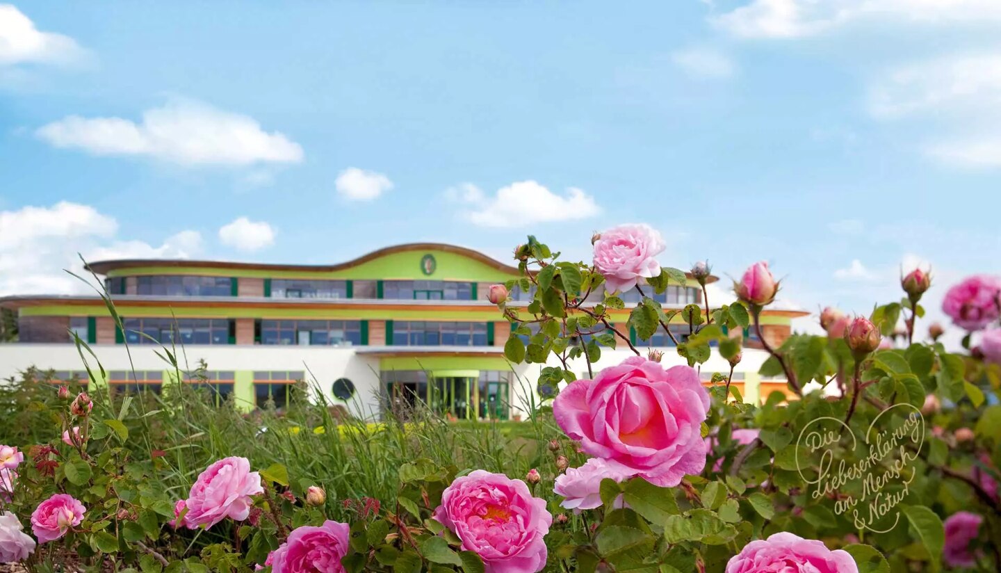 Primavera Firmengebäude im Hintergrund mit rosa Rosen im Vordergrund - geschwungene Schrift: Die Liebeserklärung an Mensch & Natur