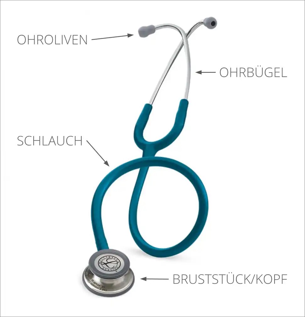 Bestandteile-Stethoskop: Ohrolive, Ohrbügel, Schlauch, Bruststück/Kopf