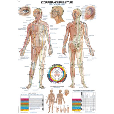 Lehrtafel "Körperakupunktur", 70 x 100 cm