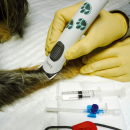 Aesculap Isis GT421 Akkuschermaschine inkl. Schermaschinenöl