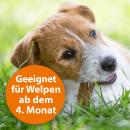 ARDAP Spot-On f&uuml;r Hunde, Floh-&amp; Zeckenschutz