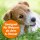 ARDAP Spot-On für Hunde, Floh-& Zeckenschutz