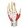 Anatomisches Handmodell, 7-teilig