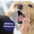 Canosept Zahnpflegespray f&uuml;r Hunde, 100 ml