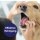 Canosept Zahnpflegespray für Hunde, 100 ml