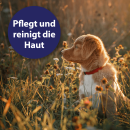 Canosept Wundspray f&uuml;r Hunde, 75 ml