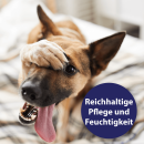 Canosept Pfotenpflege f&uuml;r Hunde, 75 g