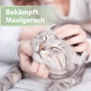 Felisept Zahnpflege Pads f&uuml;r Katzen, 50 St&uuml;ck