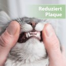 Felisept Zahnpflege Pads für Katzen, 50 Stück