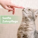 Felisept Zahnpflege Pads f&uuml;r Katzen, 50 St&uuml;ck