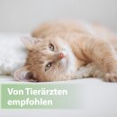 Felisept Zahnpflege Pads für Katzen, 50 Stück