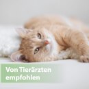 Felisept Zahnpflege Pads f&uuml;r Katzen, 50 St&uuml;ck