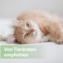 Felisept Zahnpflege Pads für Katzen, 50 Stück