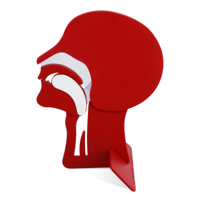 Laerdal Kopfschnittmodell, Demonstrationskopf zur Lehrvorführung