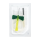 BD Vacutainer Safety-Lok Blutentnahmeset | 21 G, 30 cm Schlauch | 50 Stück
