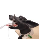 Erler-Zimmer Intubationskopf Hund