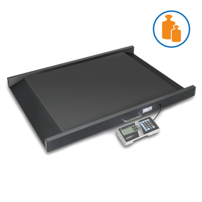Kern MWS 400K100DM Rollstuhlwaage | geeicht