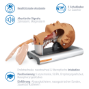 Ambu Intubationstrainer / Airway Management Trainer
