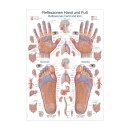 Lehrtafel &quot;Reflexzonen Hand und Fu&szlig;&quot;