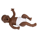 Erler-Zimmer Eltern-Übungsbaby, männlich, weiblich