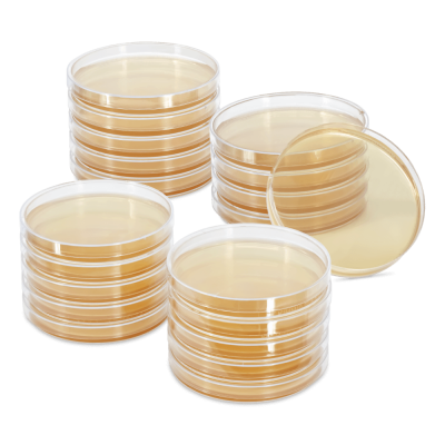 Servoplate Agarplatte Sabouraud 2% Glucose Agar, 20 Stück