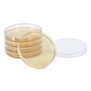 Servoplate Agarplatte Sabouraud 2% Glucose Agar, 20 Stück