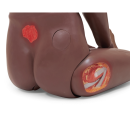 3B Scientific Pflegepuppe Basic