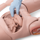 3B Scientific Pflegepuppe PRO