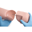 3B Scientific Pflegepuppe PRO