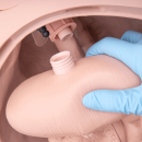 3B Scientific Pflegepuppe PRO