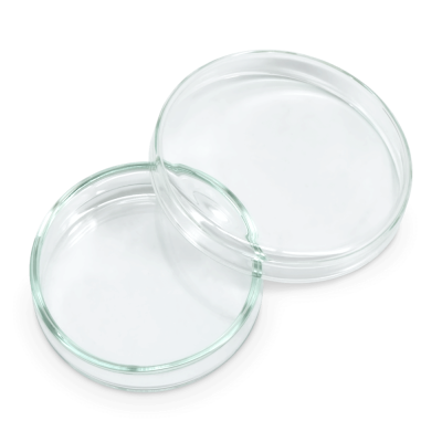 Petrischale aus Glas,  Ø 6 cm