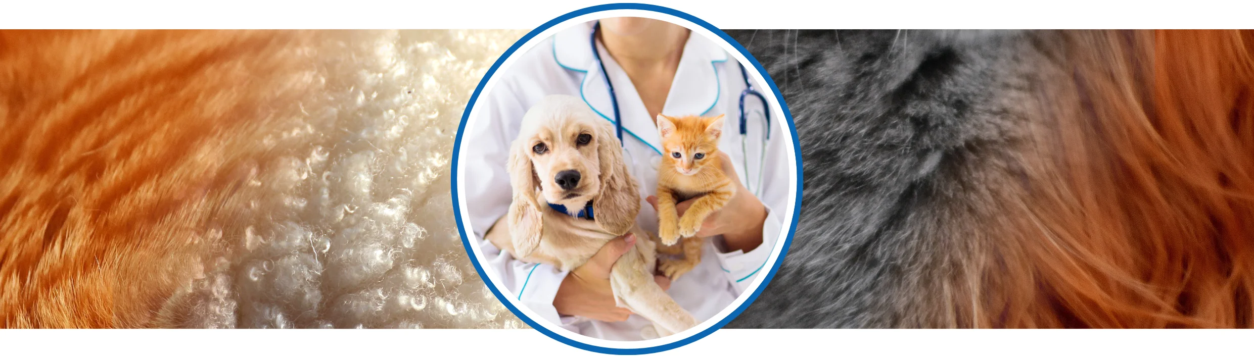 Banner Veterinärbedarf