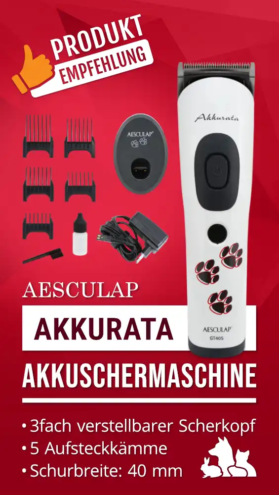 WB_Aesculap-Akkurata_Desktop.webp