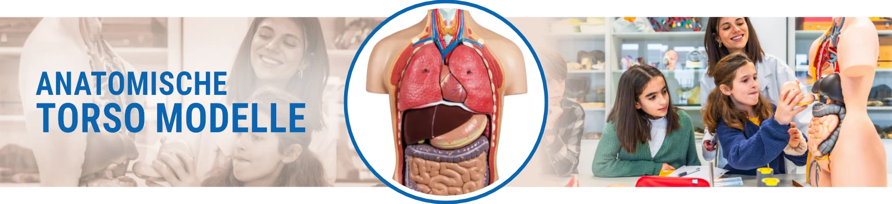 Banner-Anatomisches-Torso-Modell-Schüler-im-Unterricht