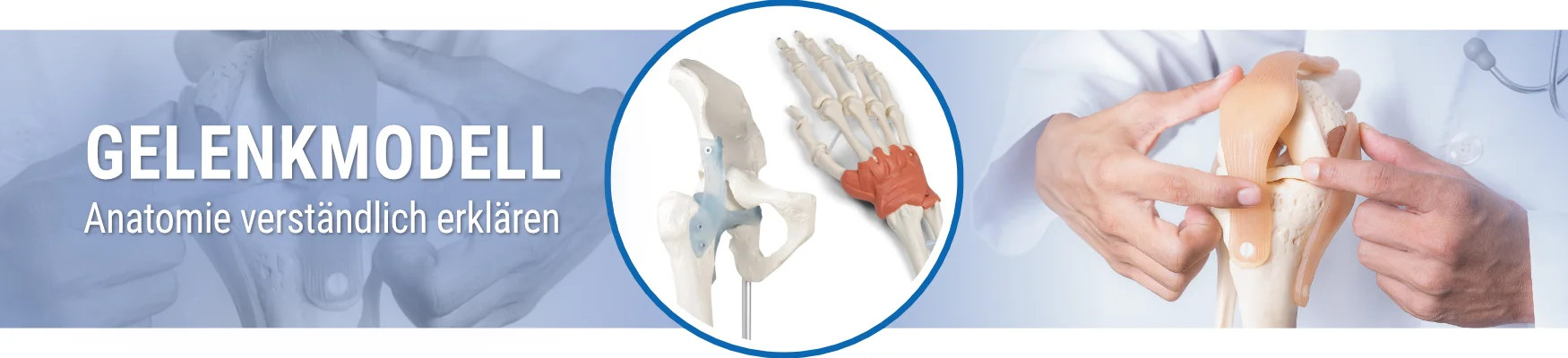 Banner-Gelenkmodelle