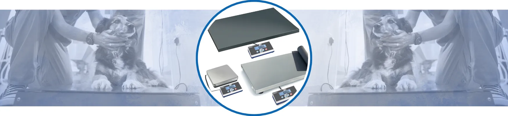 Banner_Plattformwaagen