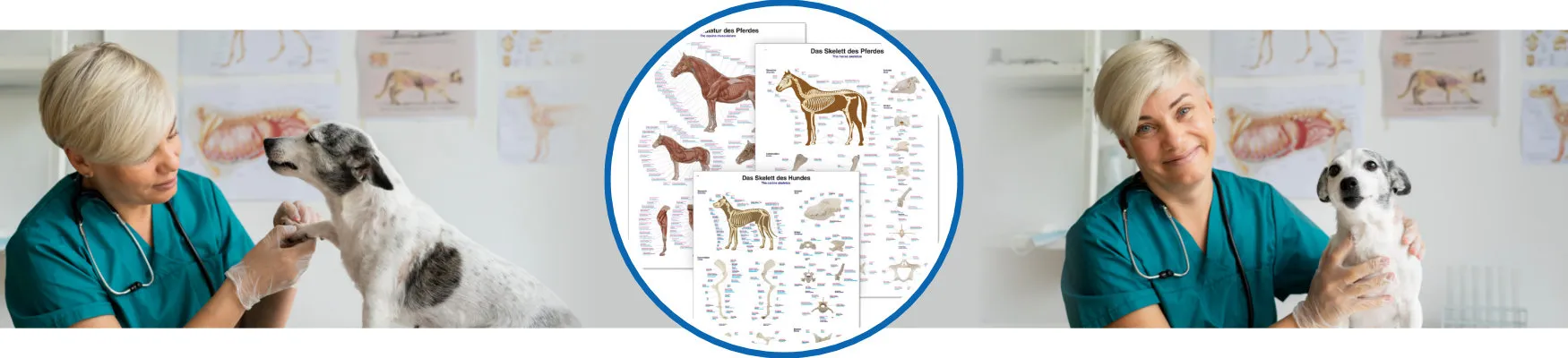 Banner_Tierlehrtafeln