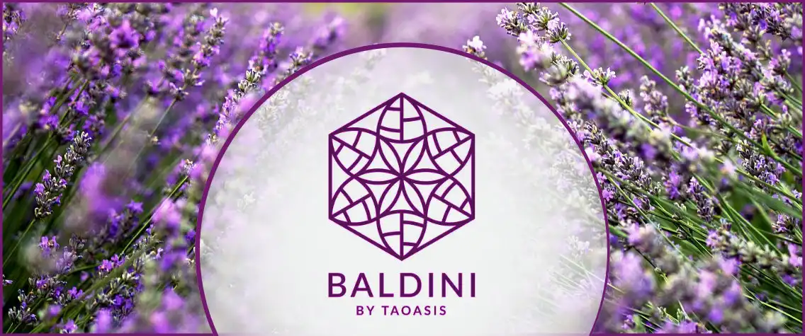 Banner: Lavendel und Baldini by Taoasis Logo