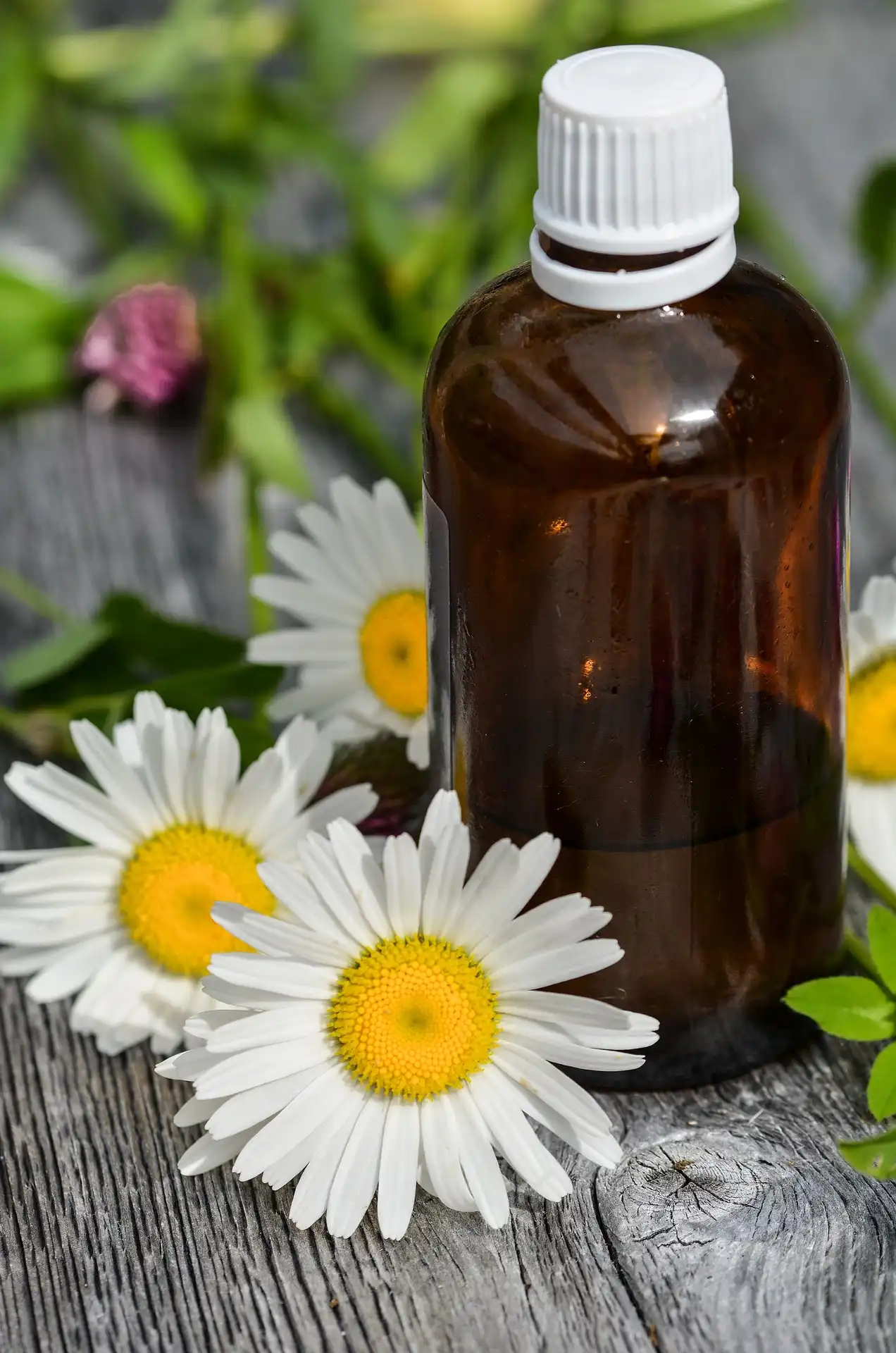 essential-oils-2536337_1920.webp