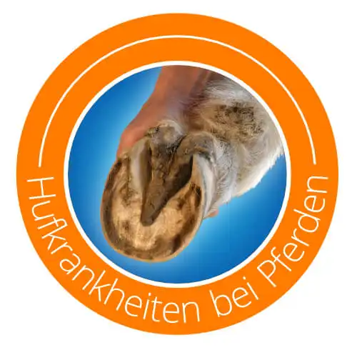 Hufkrankheiten_1.webp