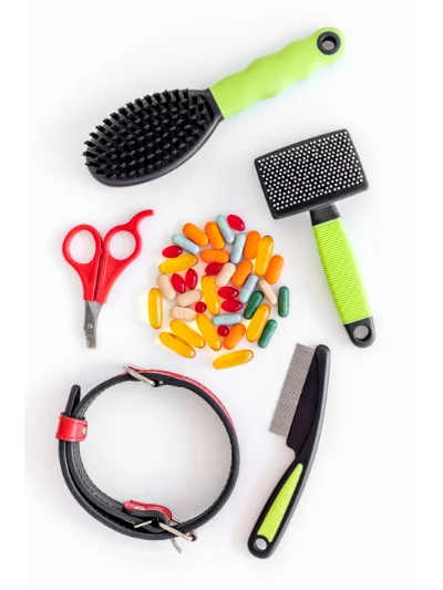 reiseapotheke-hund-checkliste_shutterstock-9dreamstudio.webp