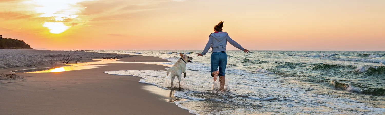 reiseapotheke-hund-ratgeber-banner-shutterstock-fotorince.webp
