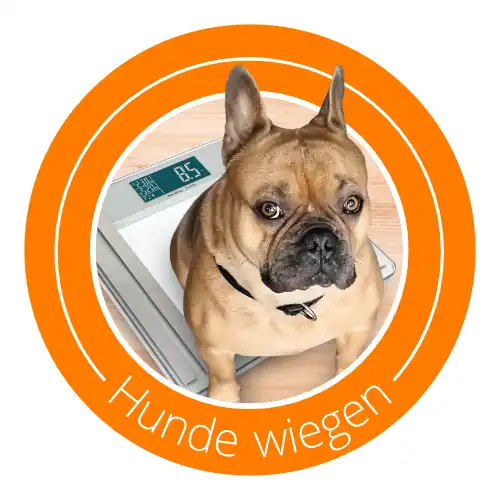Icon_Hundewiegen.webp