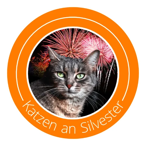katze-an-silvester-ratgeber-icon.webp