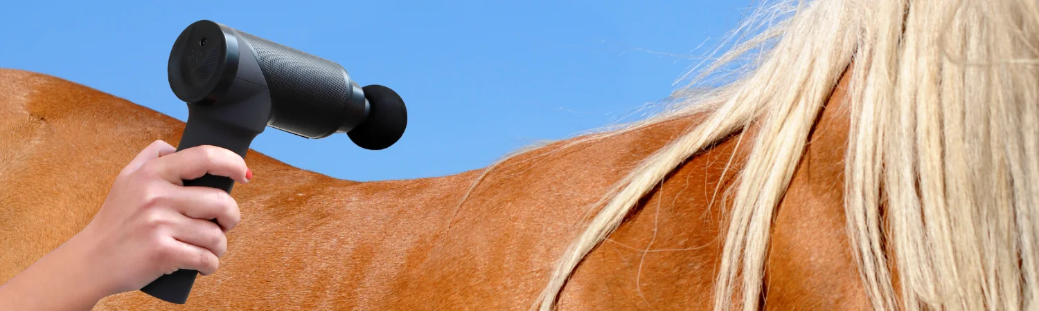 Banner Massagepistole und Pferd