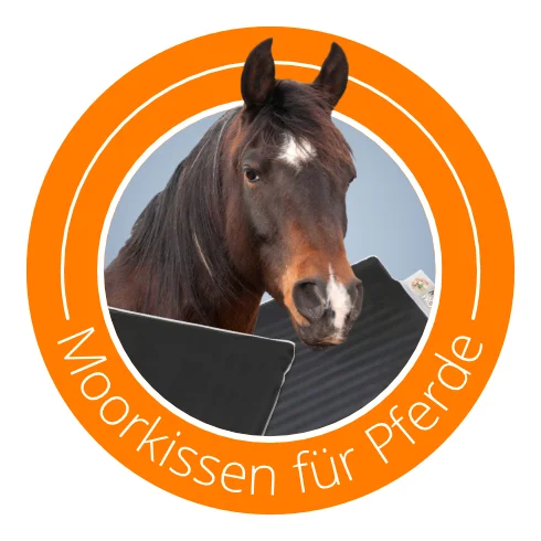 Icon1_Morkissen-Pferde_Bild-von-Sari-ONeal_shutterstock.webp