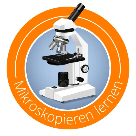 Icon Mikroskopieren-lernen | Mikroskop