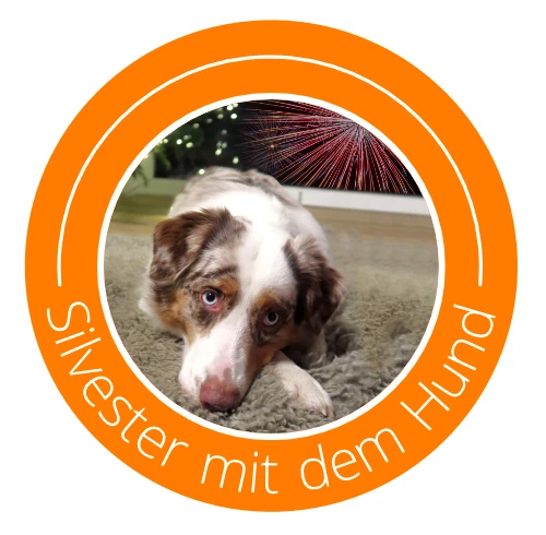 SilvestermitHund1.webp
